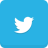 icon twitter