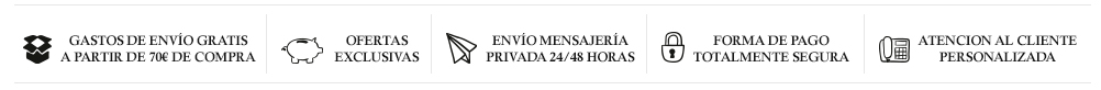 iconos footer condiciones